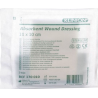 Compresses absorbantes stérile, sachet de 10 compresses